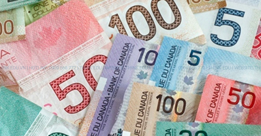 Thu Nhập Trung Bình Canada - Mức Lương Cơ Bản Canada