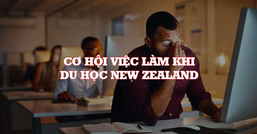 Cơ hội việc làm khi du học Newzealand