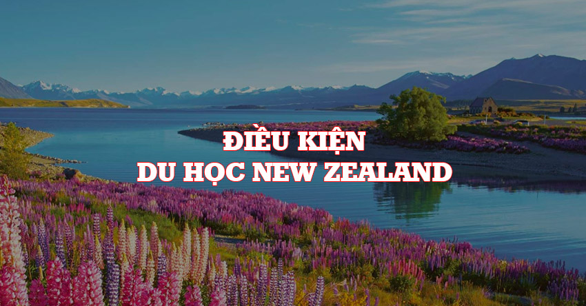 Điều kiện du học New Zealand