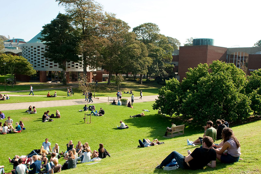 Cuộc sống tại Brighton và University of Sussex