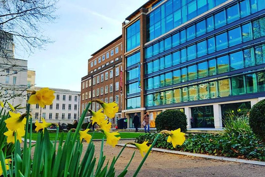 Giới thiệu tổng quan về Birkbeck, University of London